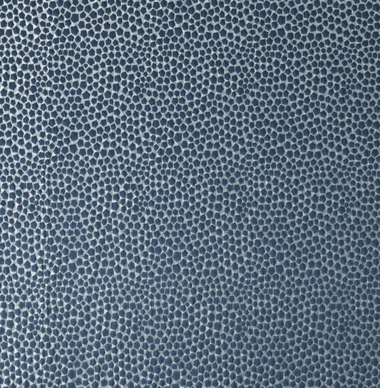 Ashley Wilde Taurus Danube