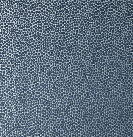 Ashley Wilde Taurus Danube