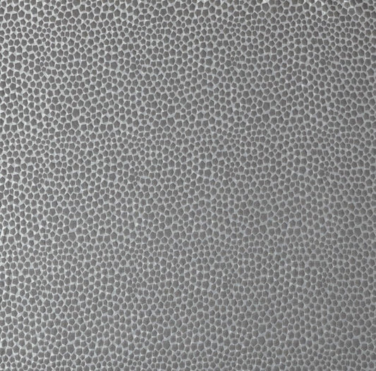 Ashley Wilde Taurus Graphite