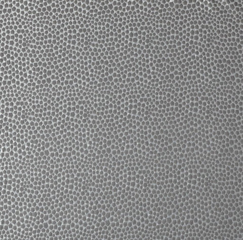 Ashley Wilde Taurus Graphite