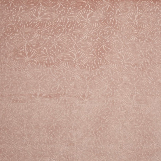 Prestigious Textiles Perennial Woodrose Velvet