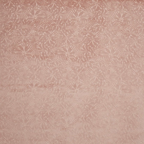 Prestigious Textiles Perennial Woodrose Velvet