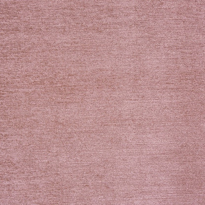 Prestigious Textiles Anderson Shell