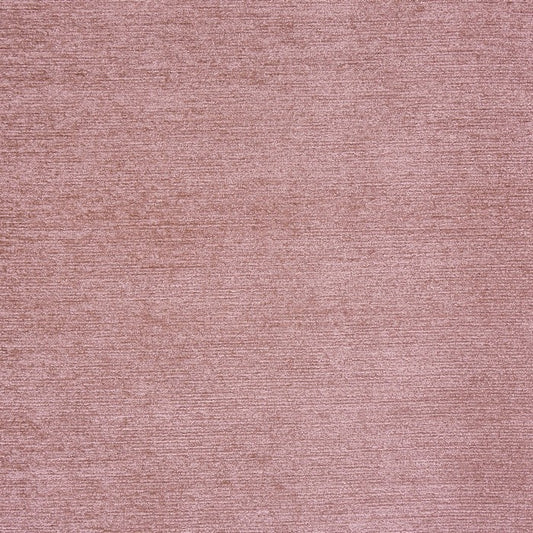 Prestigious Textiles Anderson Shell