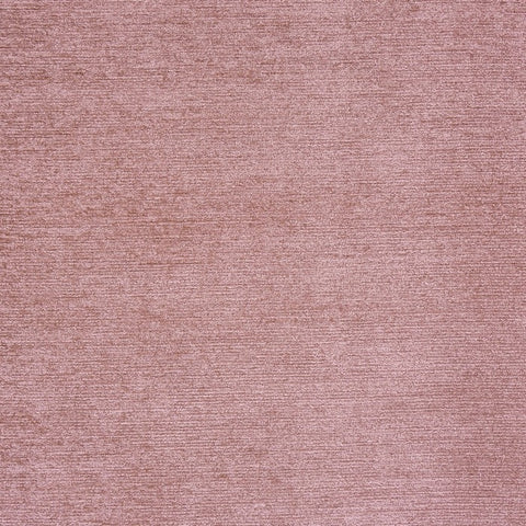 Prestigious Textiles Anderson Shell