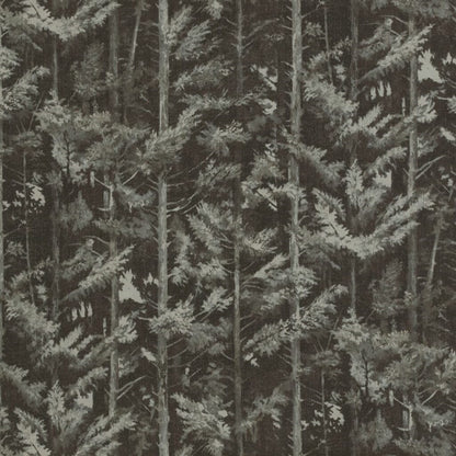Kai Balsham Bark