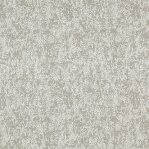 Hardy Tutti Fossil