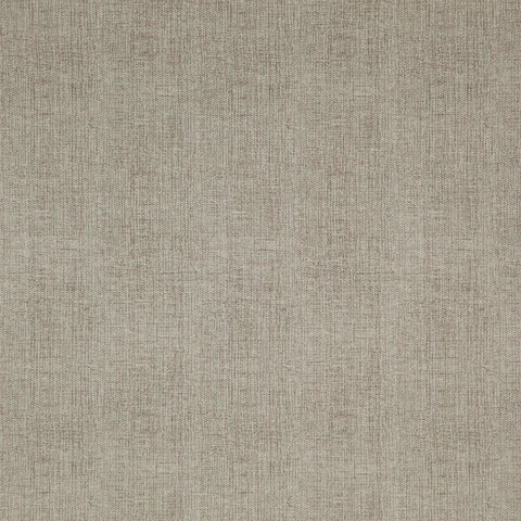 Hardy Arles Mushroom