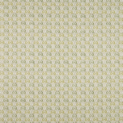 iLiv Pushkar Pistachio