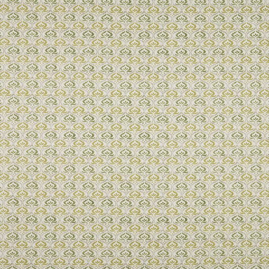 iLiv Pushkar Pistachio