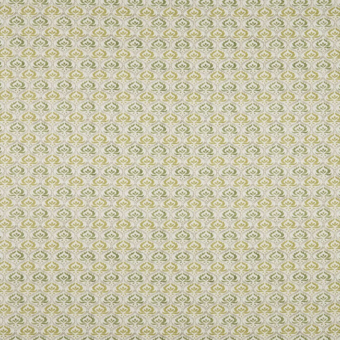 iLiv Pushkar Pistachio