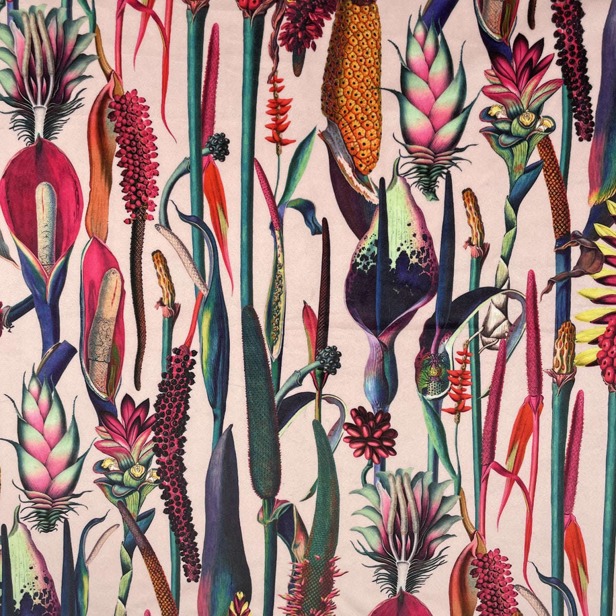 Chatham Glyn Borneo Baby Pink Velvet