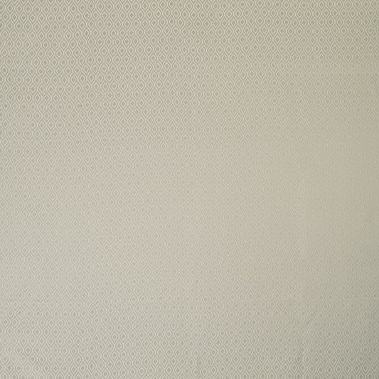 Ashley Wilde Minori Champagne