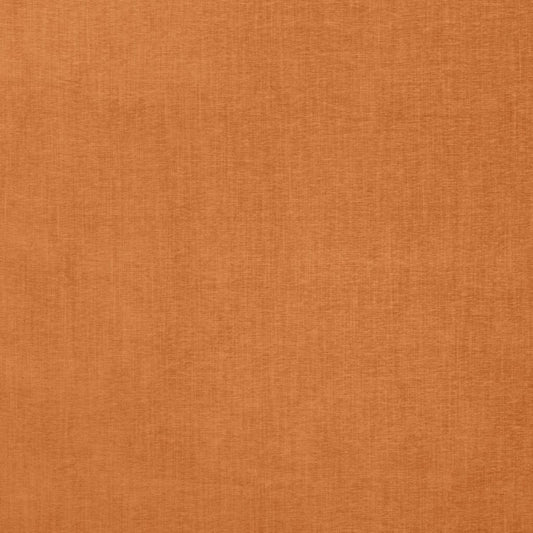 Ashley Wilde Finley Clementine