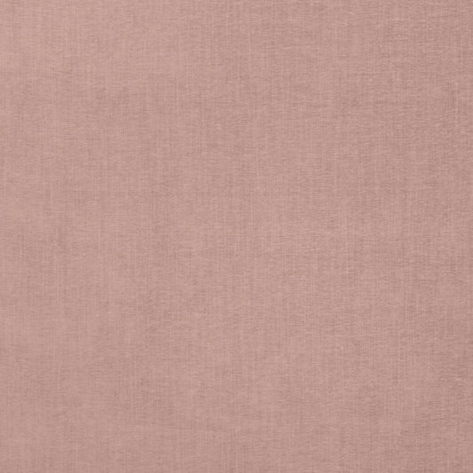 Ashley Wilde Finley Coral