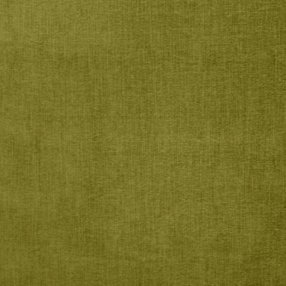 Ashley Wilde Finley Kiwi