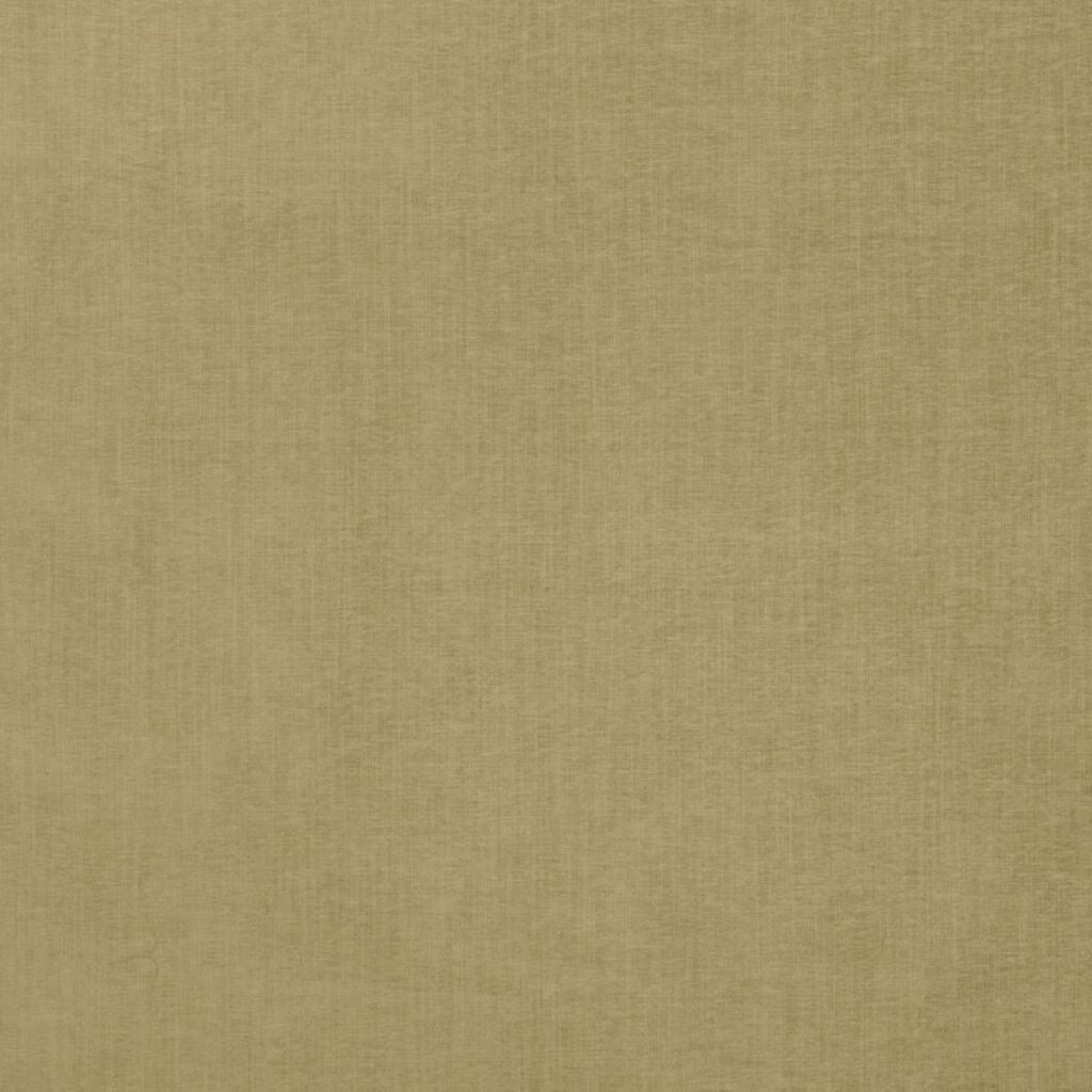 Ashley Wilde Finley Olive