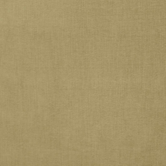 Ashley Wilde Finley Olive