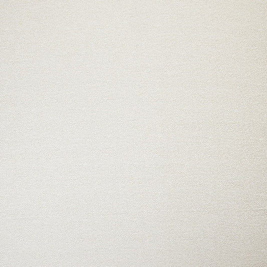 Ashley Wilde Wilby Champagne