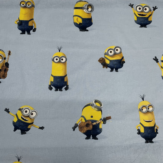 CFO Minion Sky