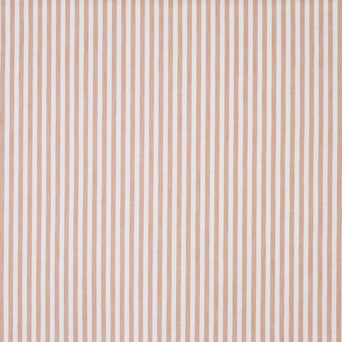 Prestigious Textiles Witney Apricot