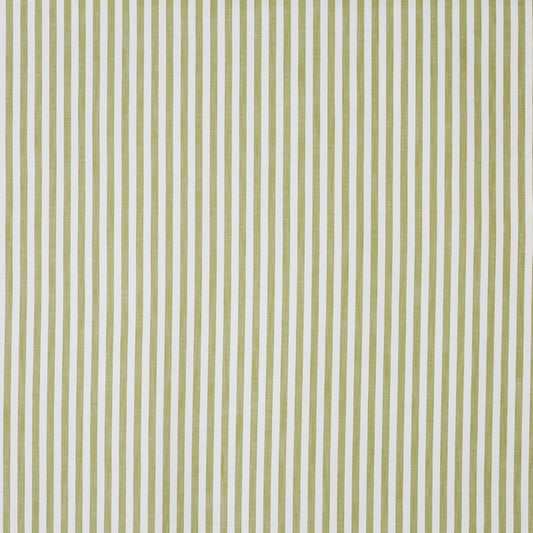 Prestigious Textiles Witney Zest