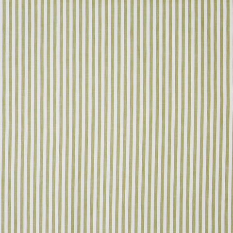 Prestigious Textiles Witney Zest