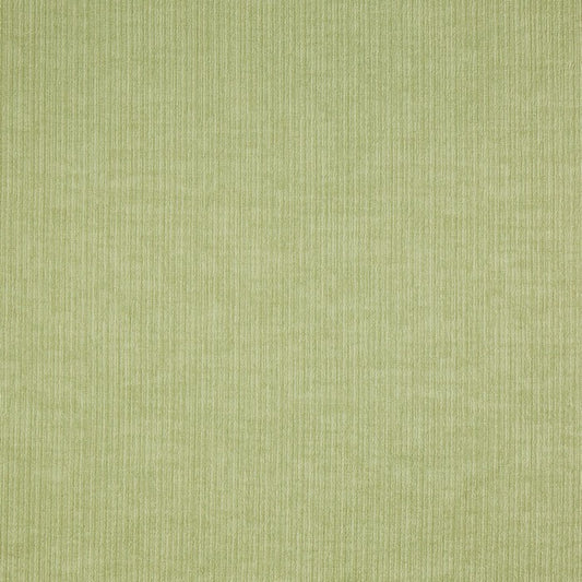 Prestigious Textiles Spencer Willow