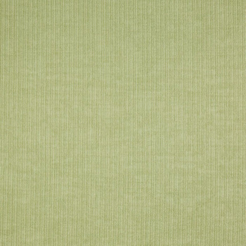 Prestigious Textiles Spencer Willow