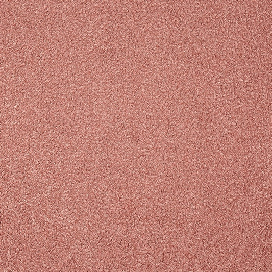 Prestigious Textiles Fergus Rosebud