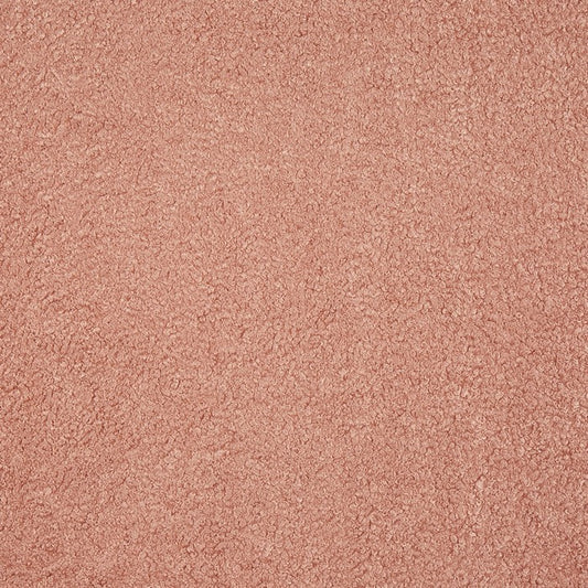 Prestigious Textiles Fergus Petal