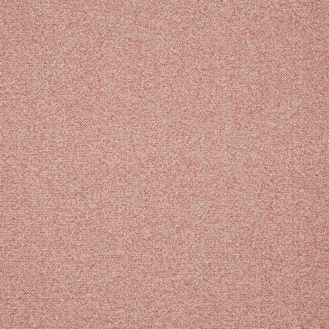 Prestigious Textiles Robertson Petal