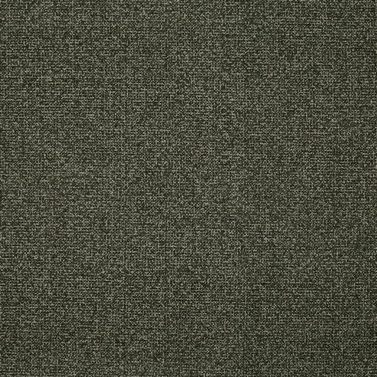 Prestigious Textiles Robertson Moss