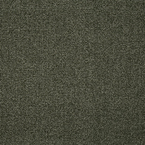 Prestigious Textiles Robertson Moss