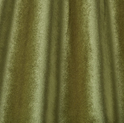 Iliv Camina Moss