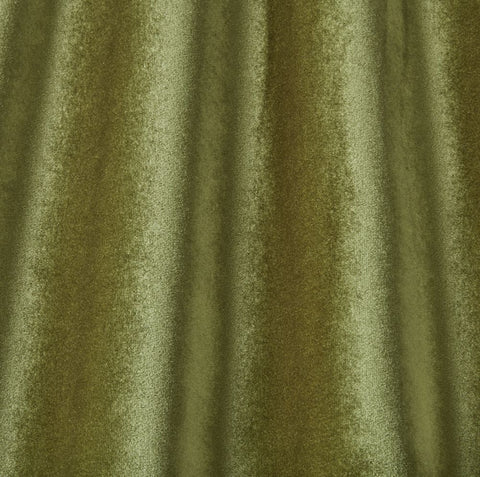 Iliv Camina Moss
