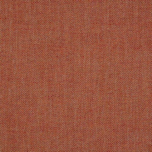 iLiv Jacob Tangerine