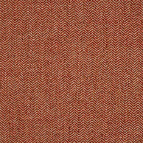 iLiv Jacob Tangerine