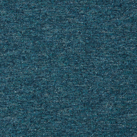 iLiv Firth Kingfisher