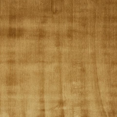 Prestigious Textiles Helix Honey