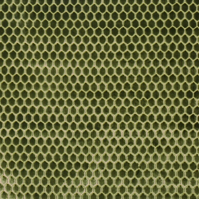 Prestigious Textiles Prism Cactus