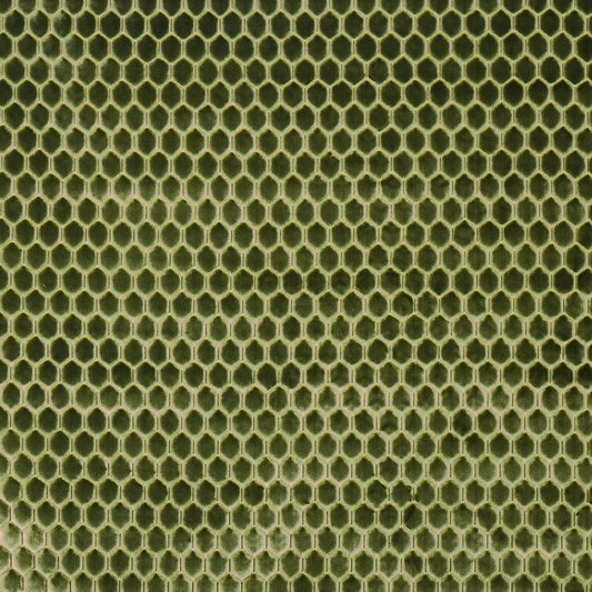 Prestigious Textiles Prism Cactus