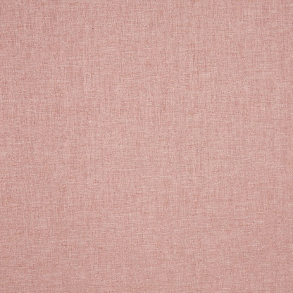 Prestigious Textiles Nimbus Peony