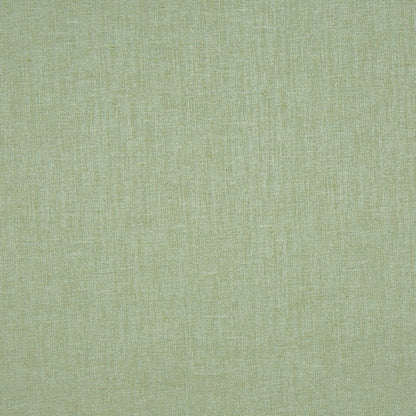 Prestigious Textiles Nimbus Willow