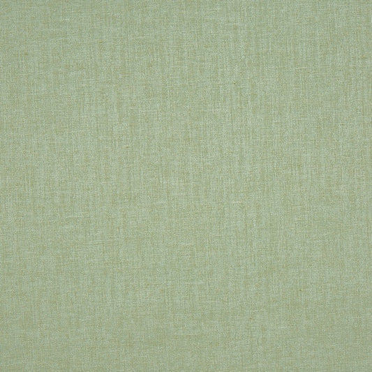 Prestigious Textiles Nimbus Willow