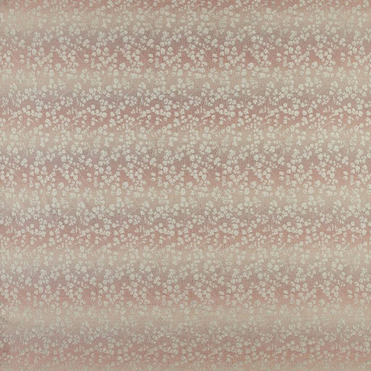 Clarissa Hulse Rue Shell