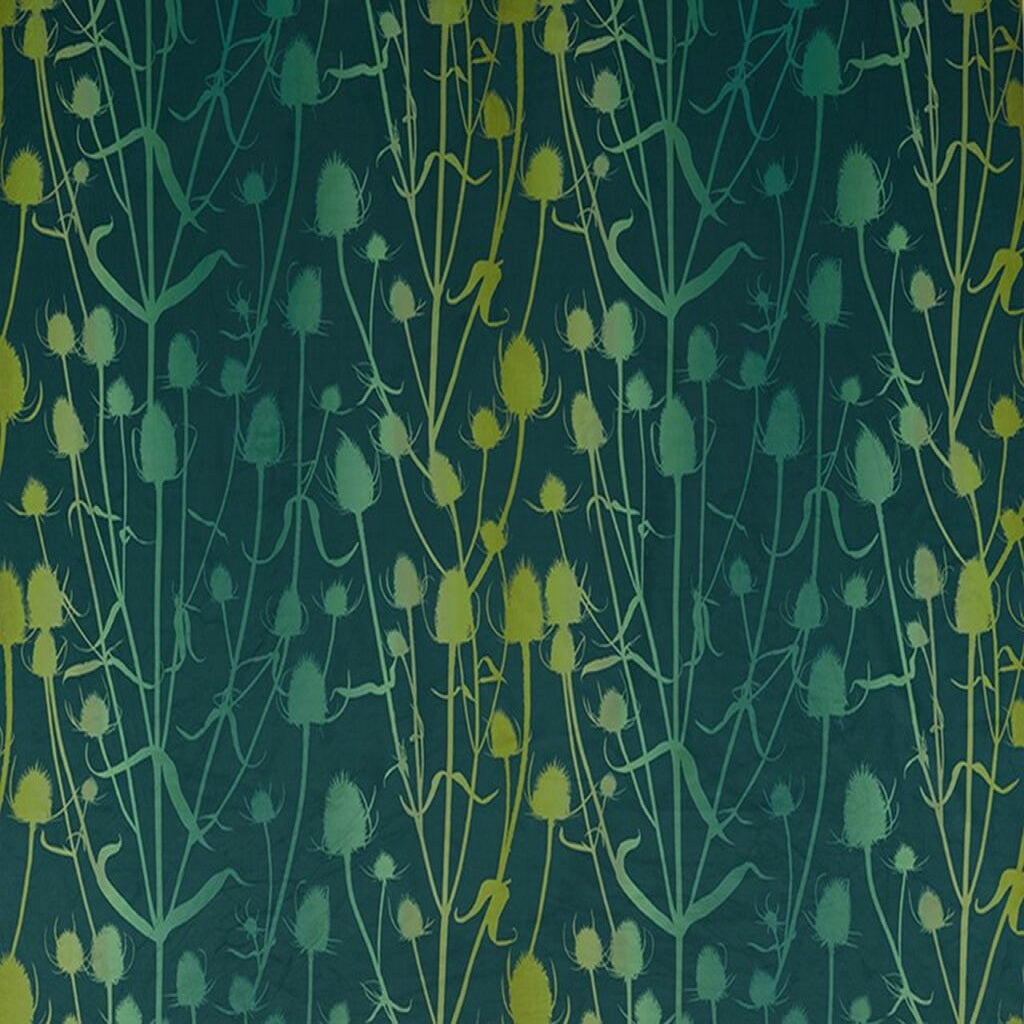 Clarissa Hulse Teasel Peacock