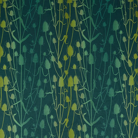 Clarissa Hulse Teasel Peacock