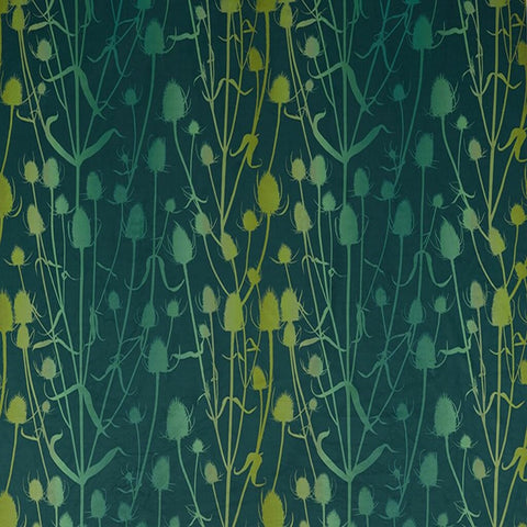 Clarissa Hulse Teasel Peacock