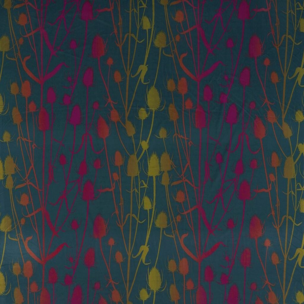 Clarissa Hulse Teasel Sunset